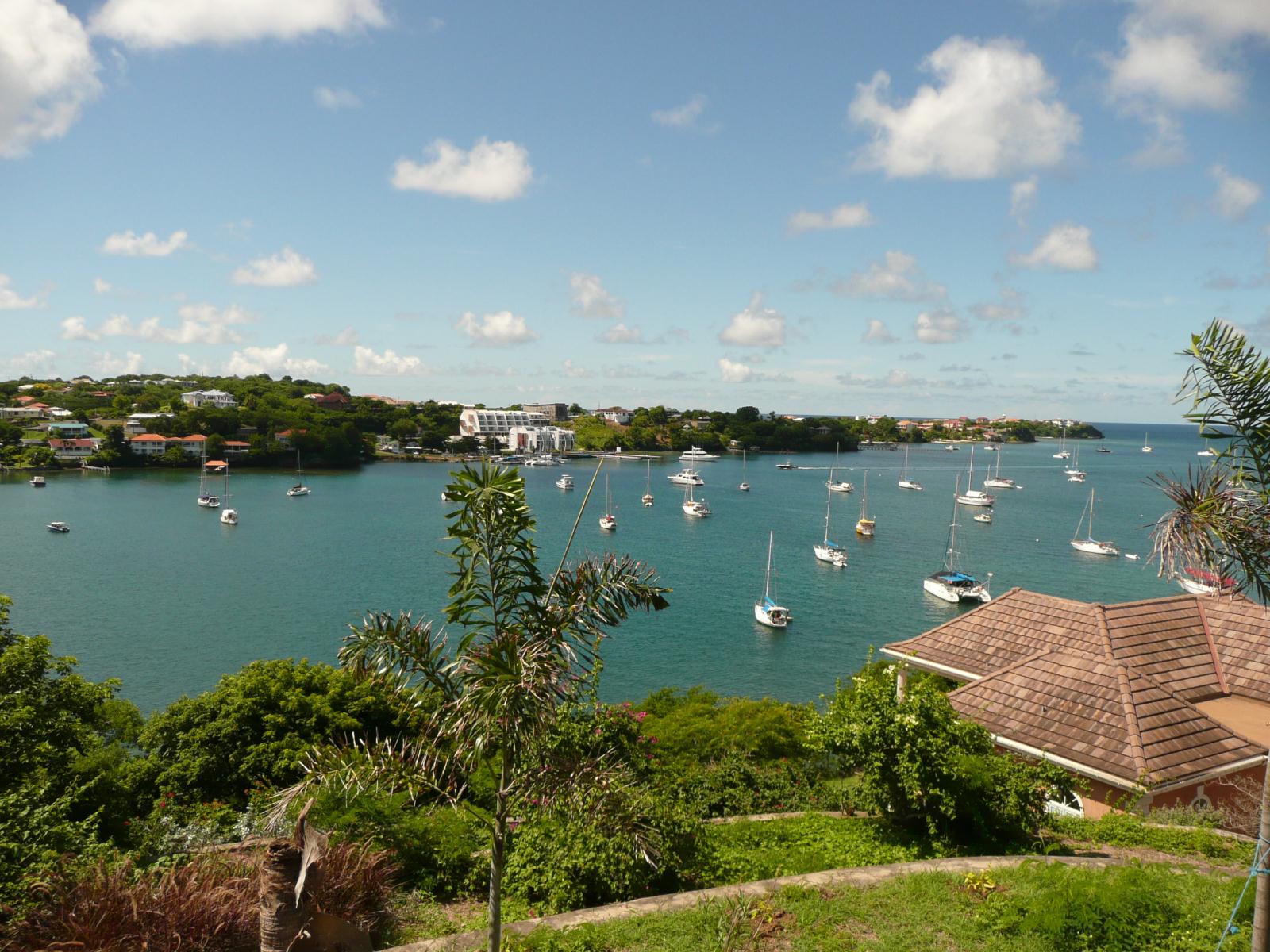 Culinary Caribbean 