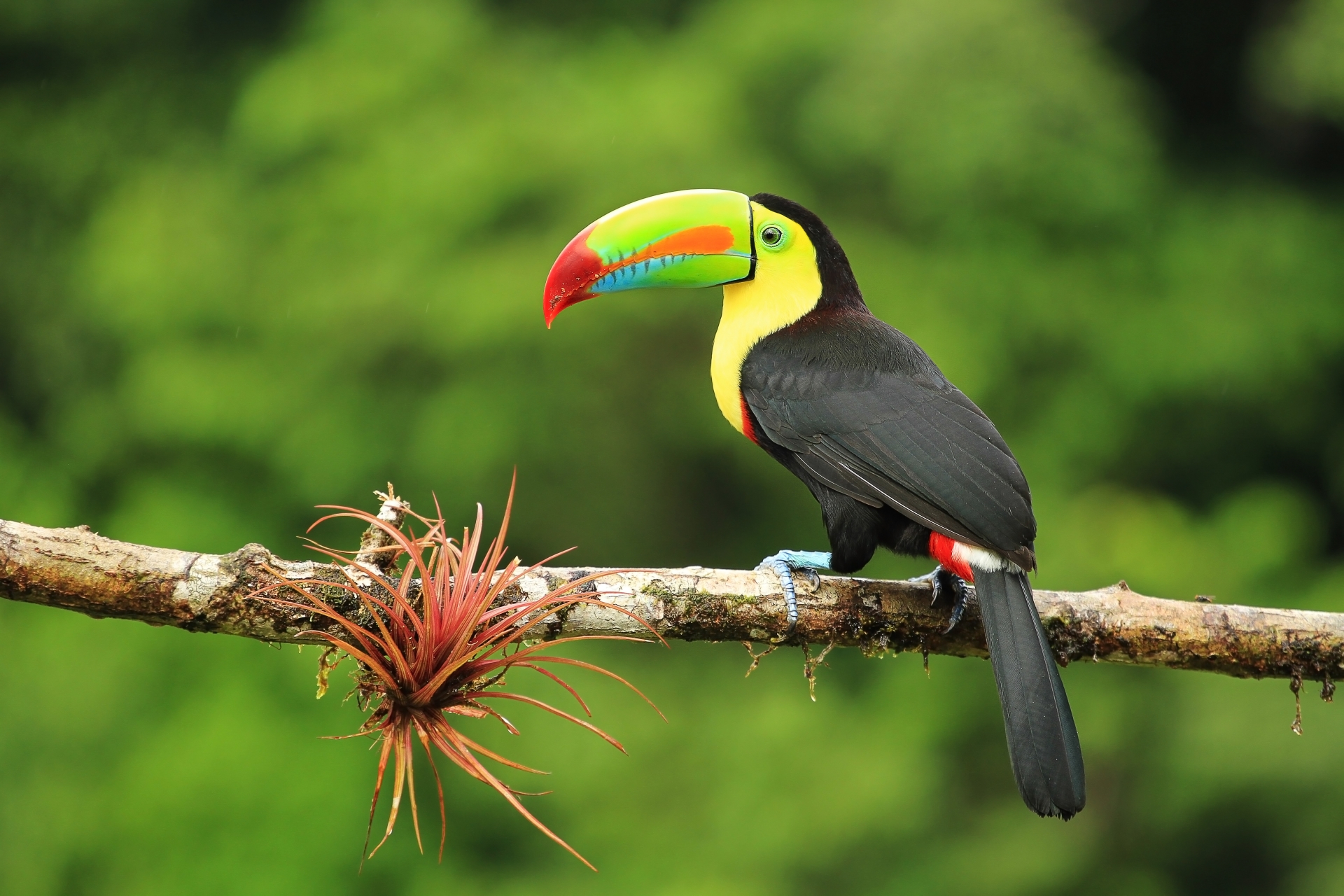 Plan your Central America trip today