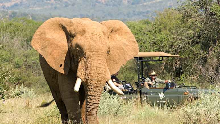 Iconic South Africa