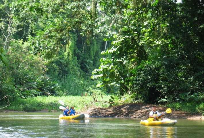 Tortuguero