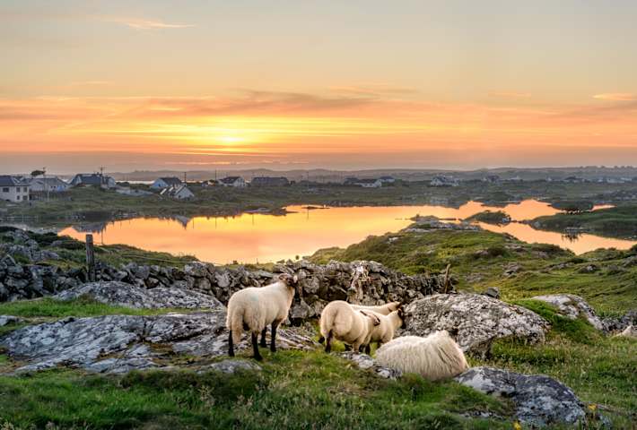 Scotland