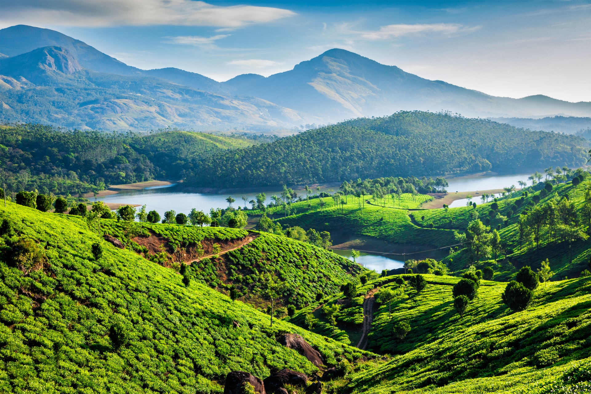 Best of Kerala and Tamil Nadu 