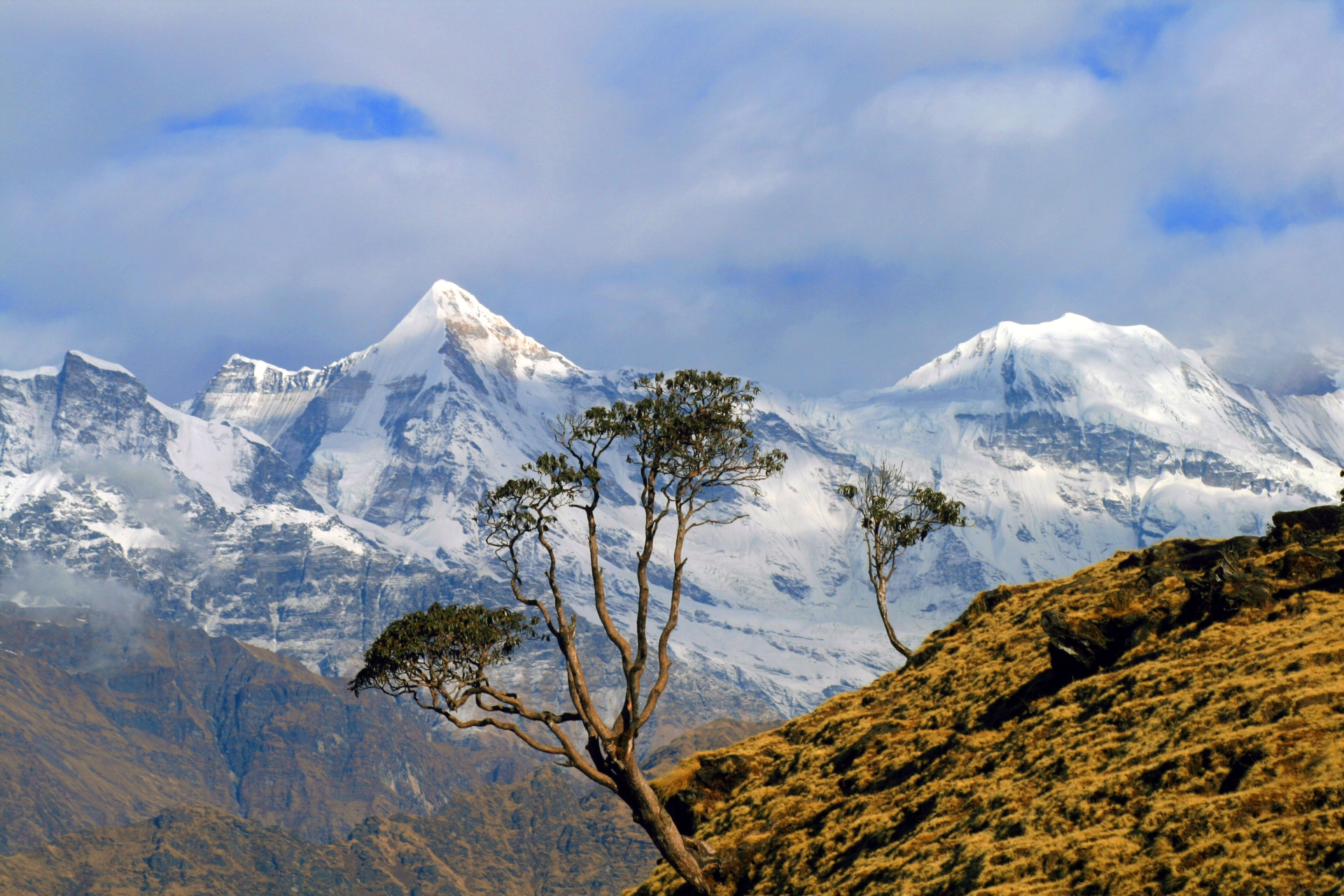 Walk India: Unveiling the Hidden Himalayas 