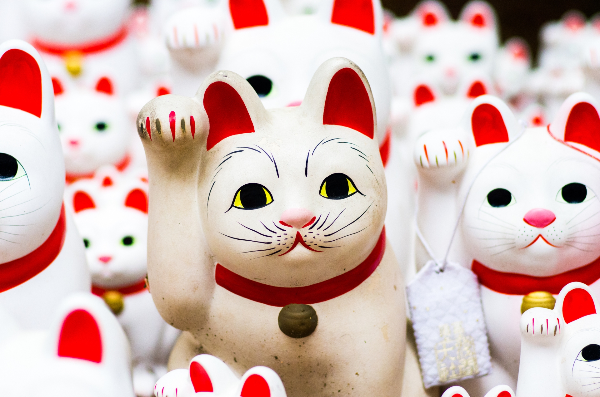 Family Fun in Japan 