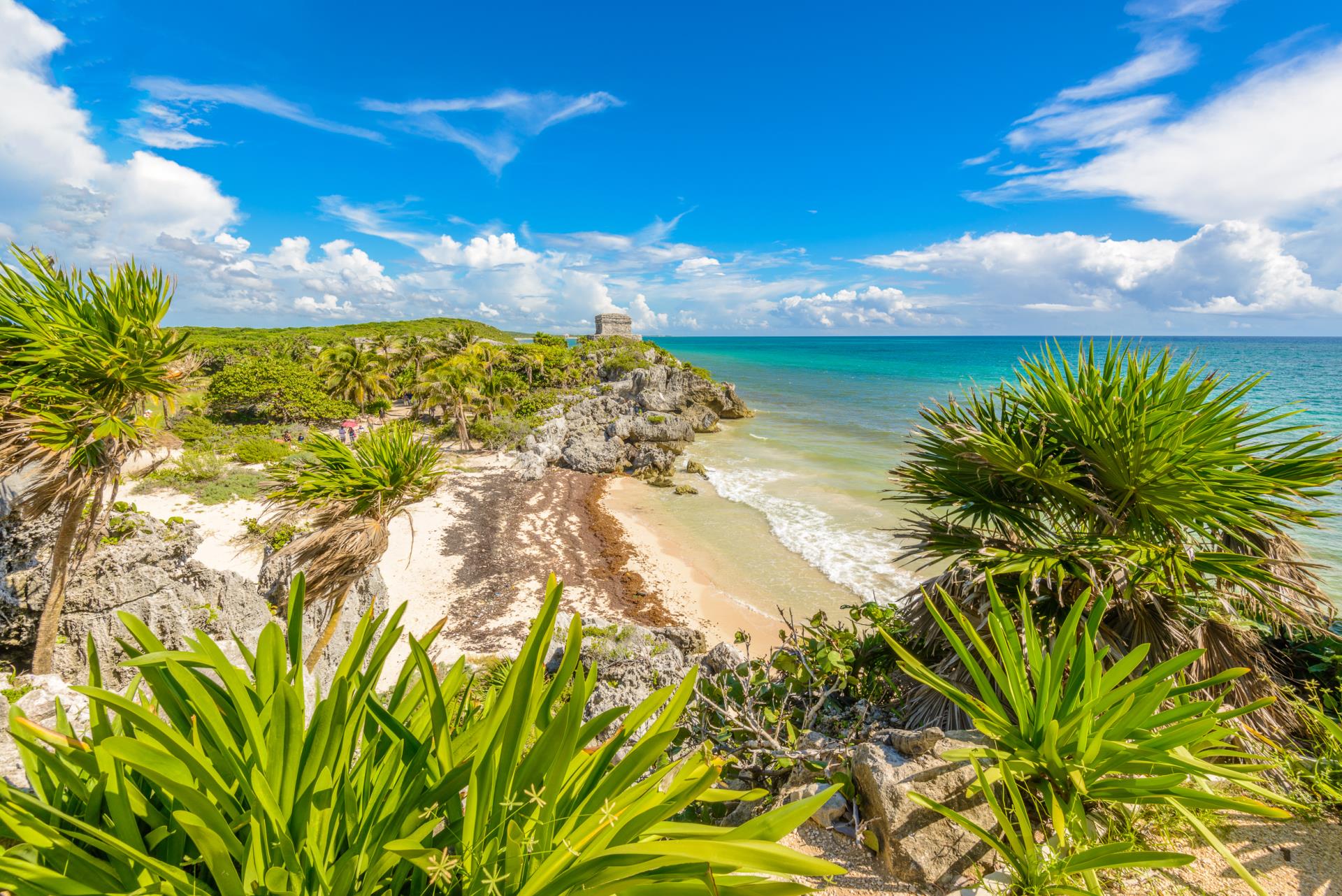 Mayan Mexico 