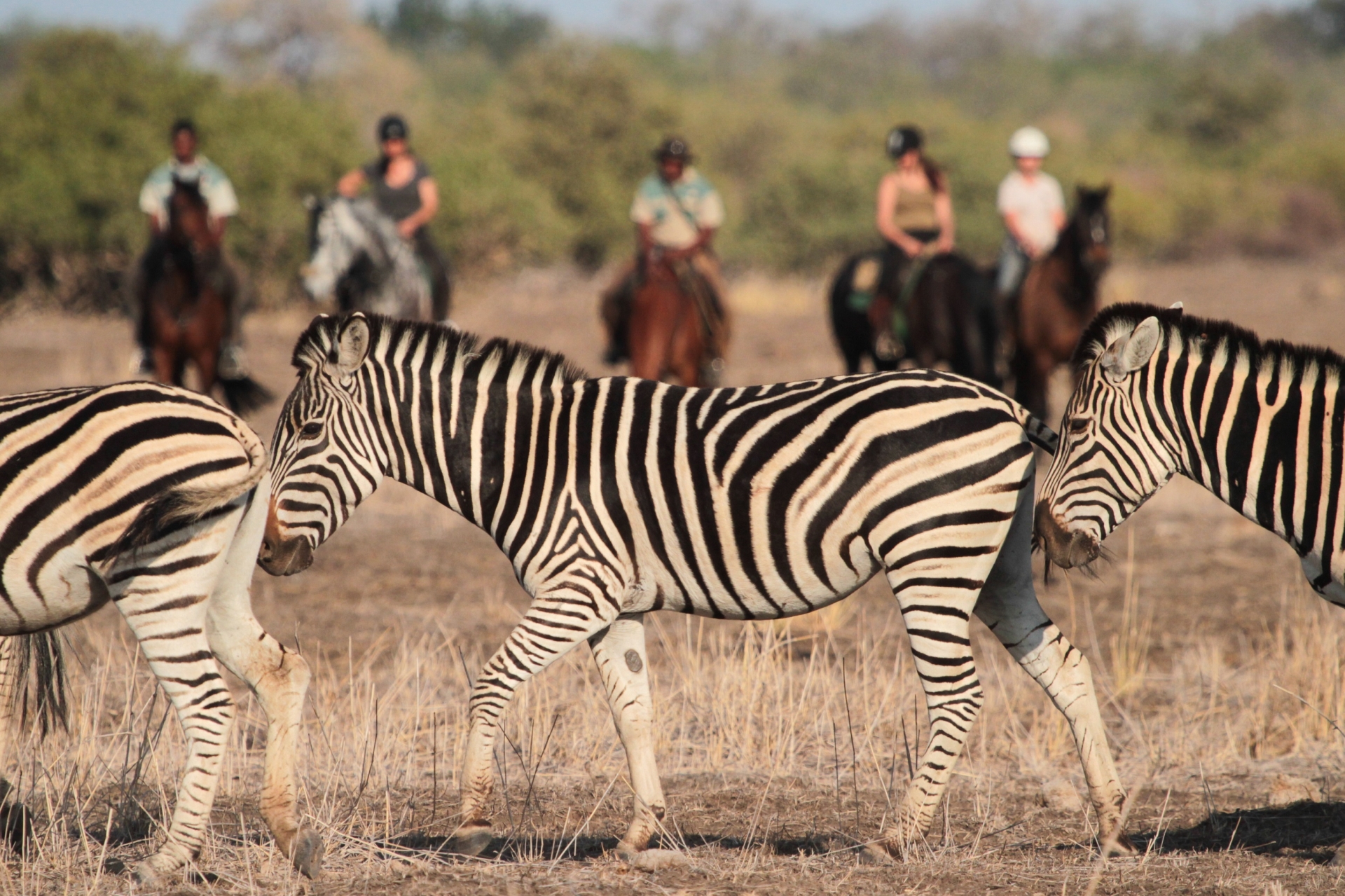 Family Fun in South Africa 