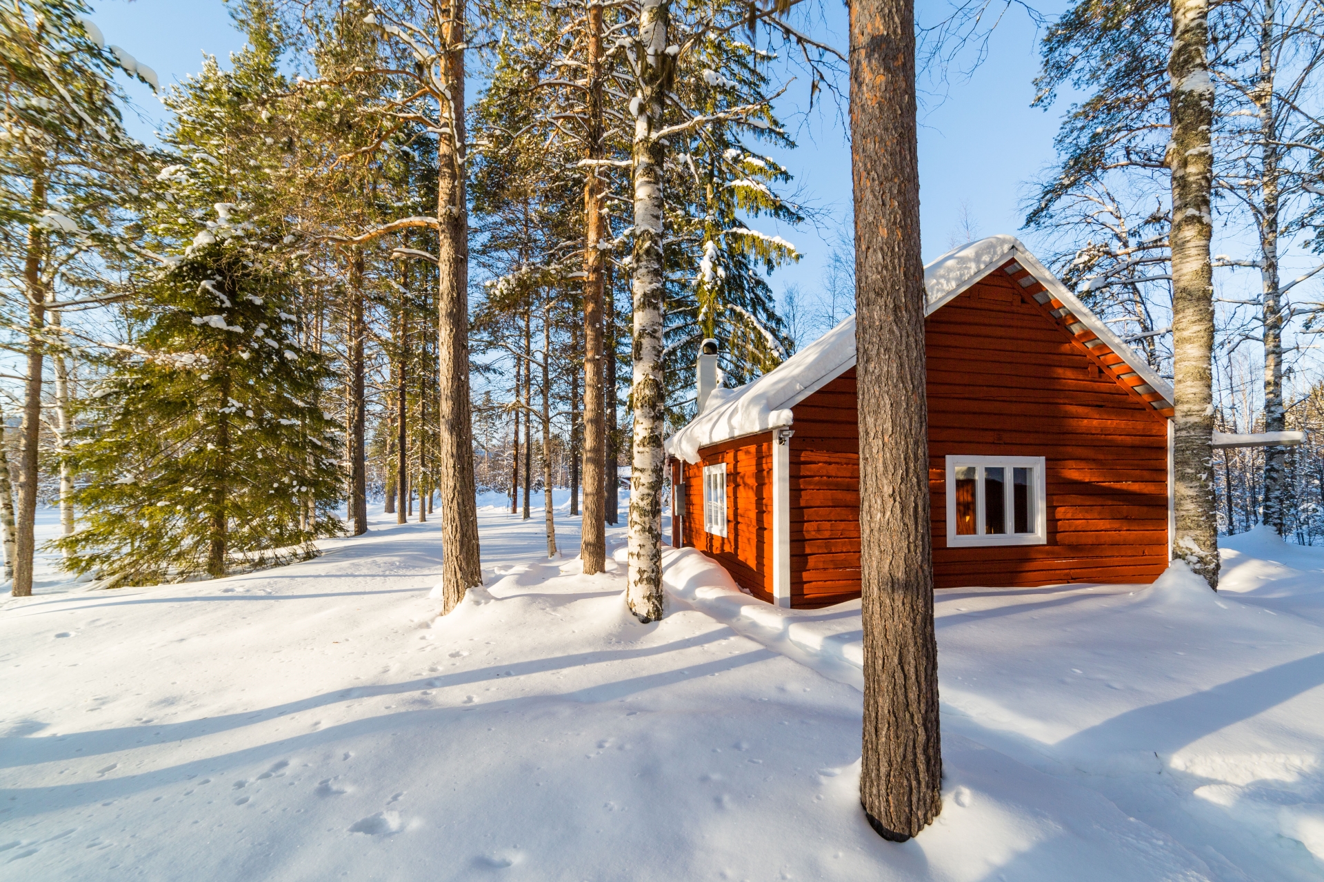 Honeymoon in Swedish Lapland 