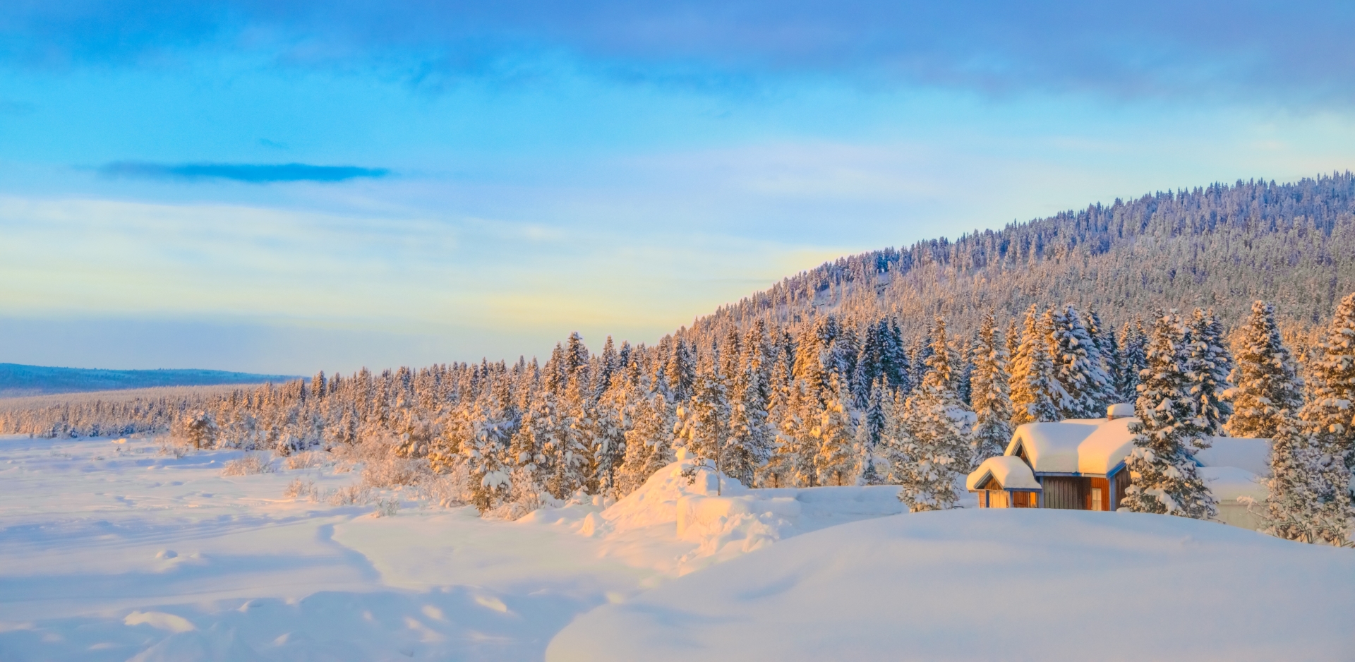 Ultimate Swedish Lapland 