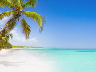 Beach holidays