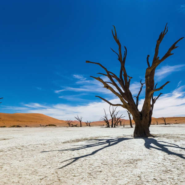Destination guide: Namibia