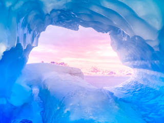 Arctic Seasons &amp; Wildlife