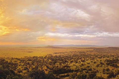 Nomad Tanzania