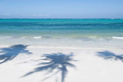 The Zanzibar Collection