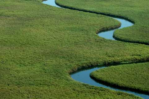Wilderness Safaris