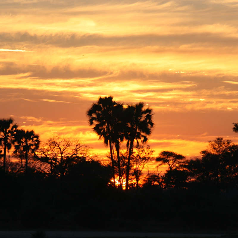 Sunset - Chobe National Park