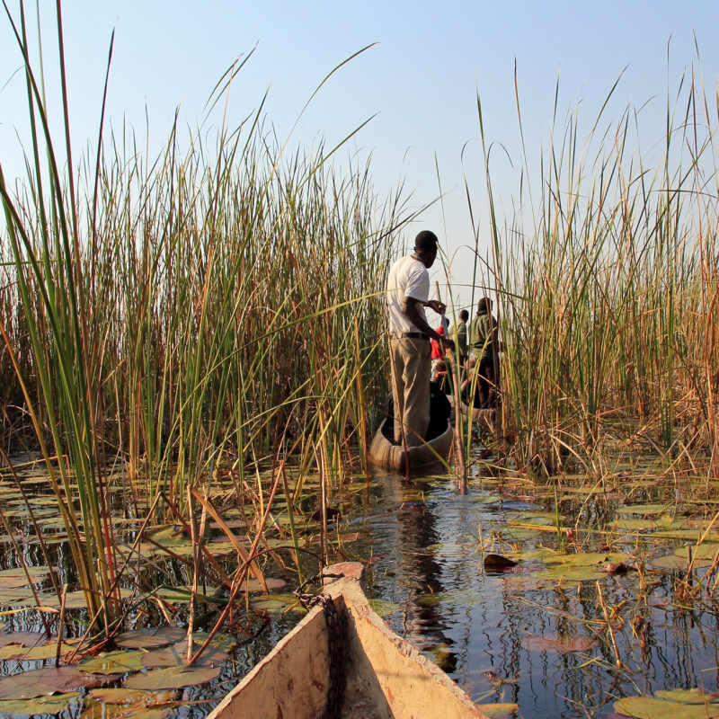 Mokoro - Okavango Delta and Moremi