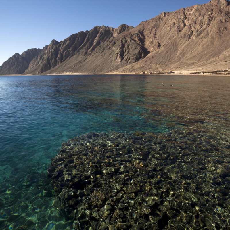 Red Sea - Sharm el Sheikh
