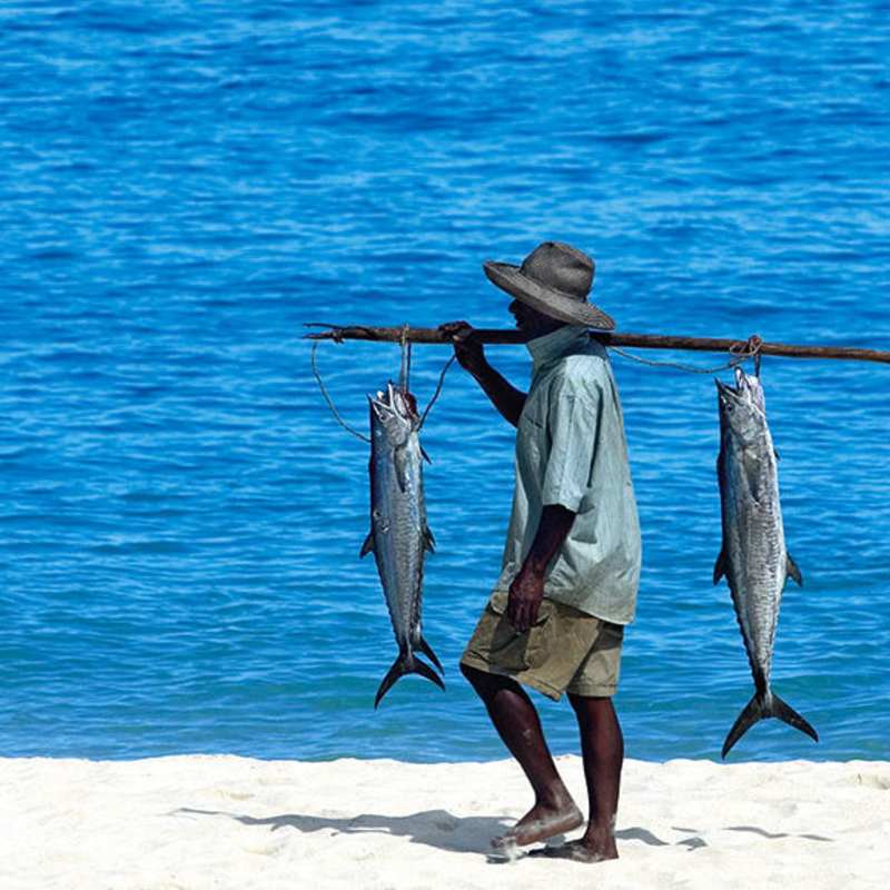 Discover Northern Madagascar