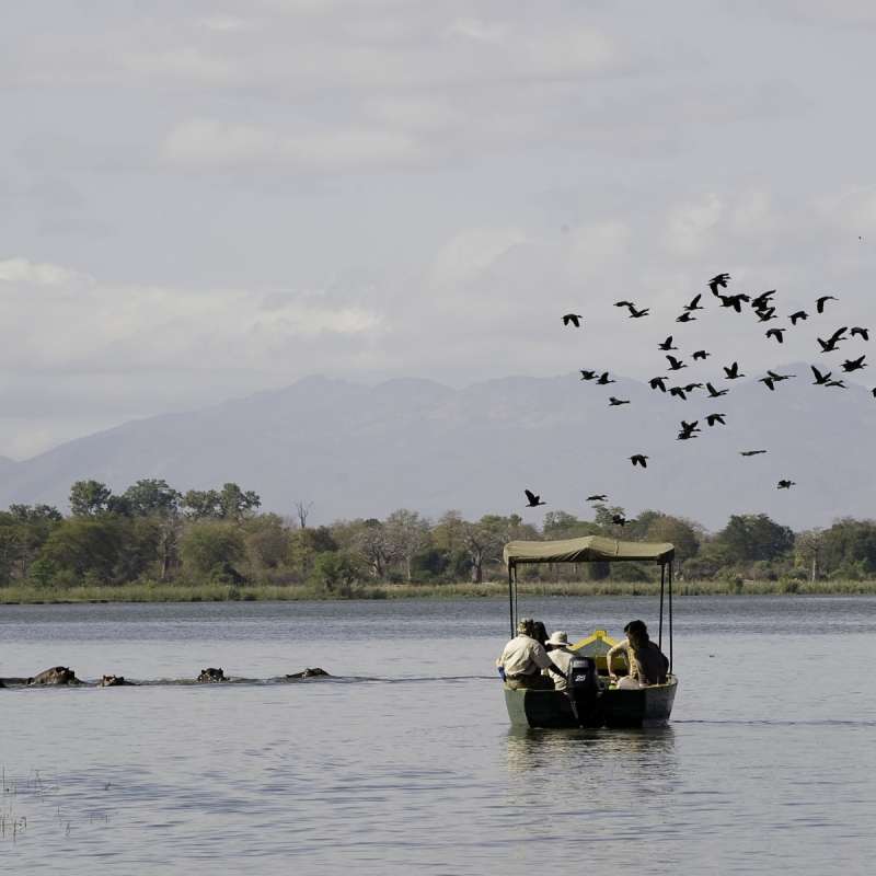 Liwonde National Park