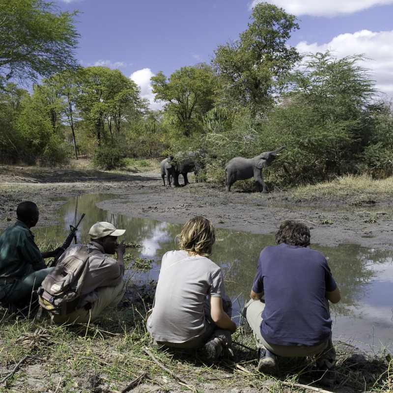 Liwonde National Park