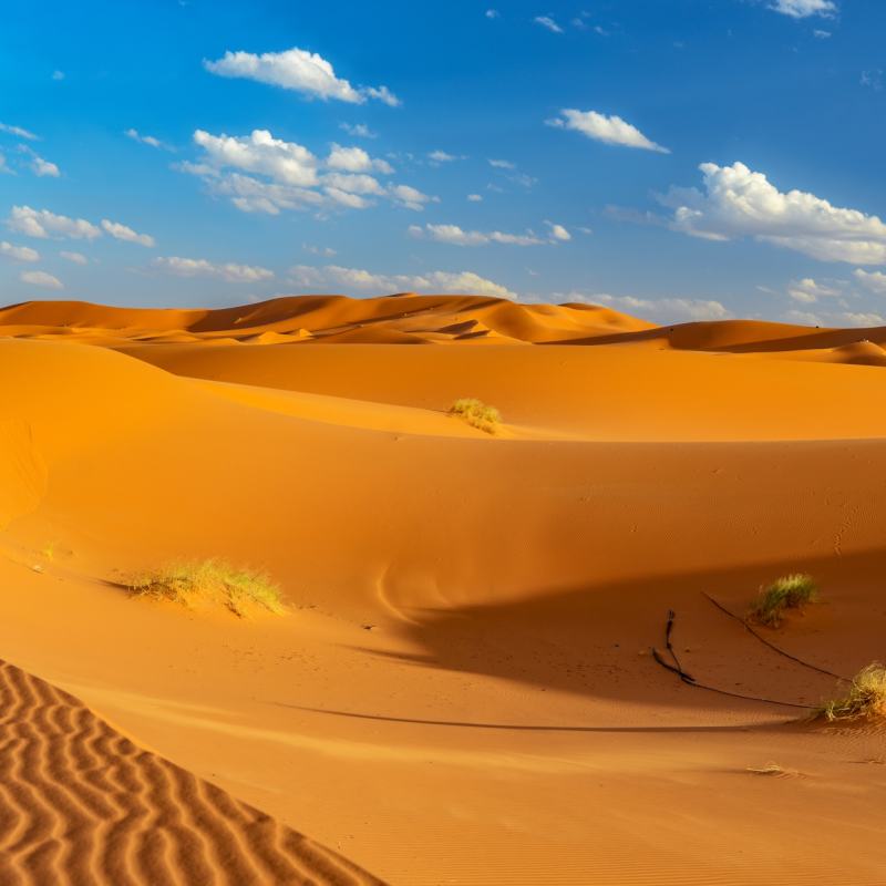 Dunes - Moroccan Desert