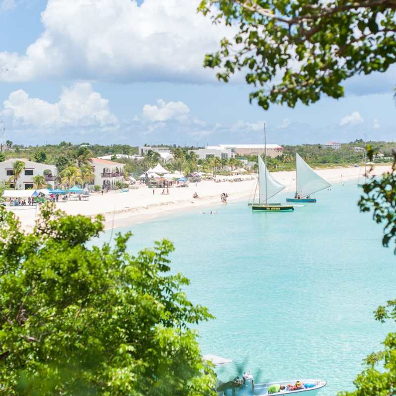 Boats in the bay 