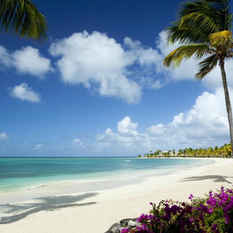 Beach - Jumby Bay Island
