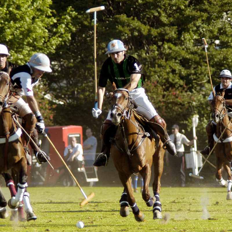 Polo match 