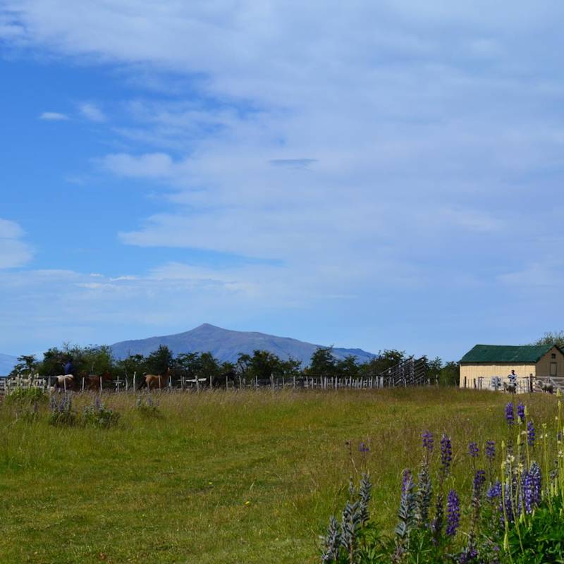 Scenic view - Estancia Nibepo Aike