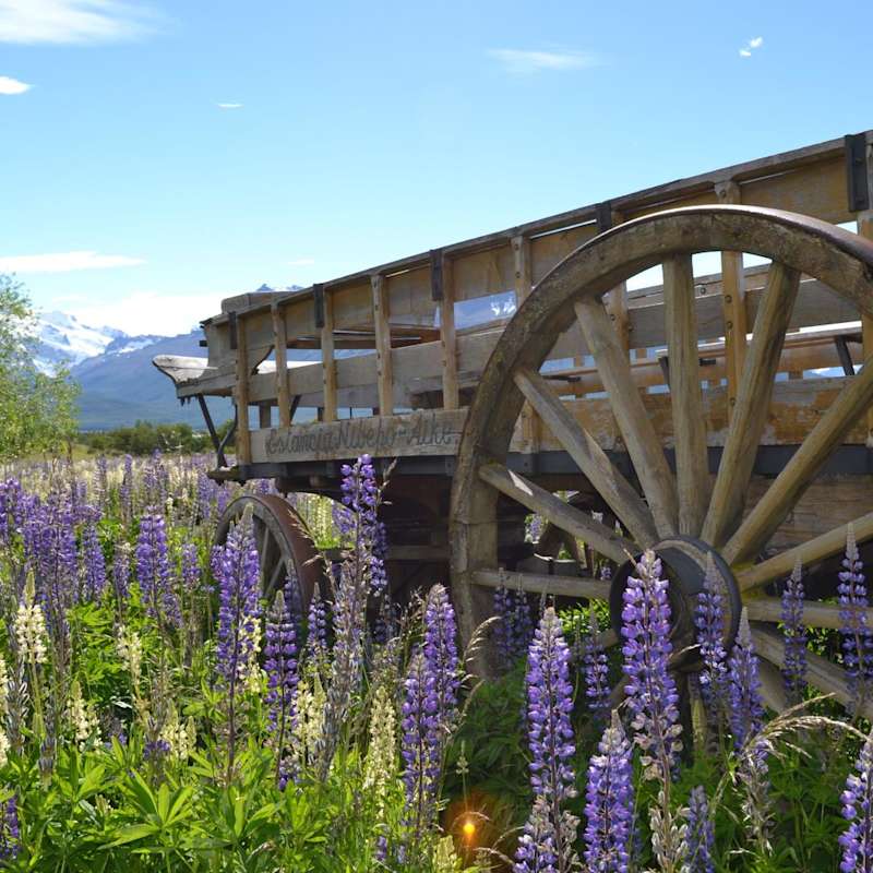 Beautiful scenery - Estancia Nibepo Aike