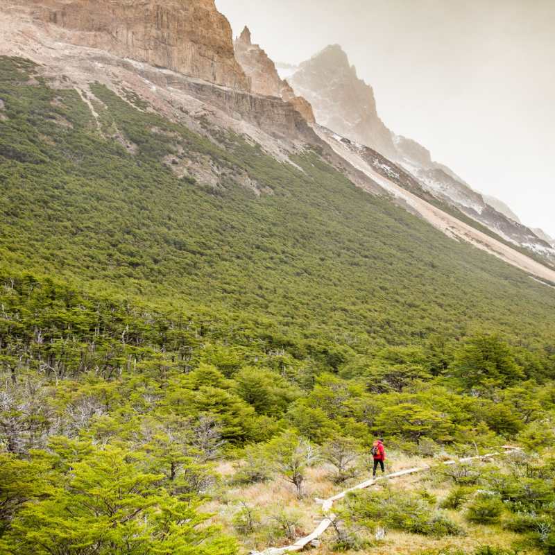 Hiking in Los Huemeles Reserve 