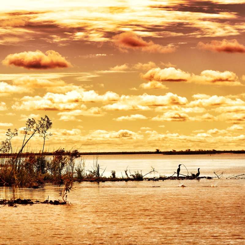 Ibera Wetlands 