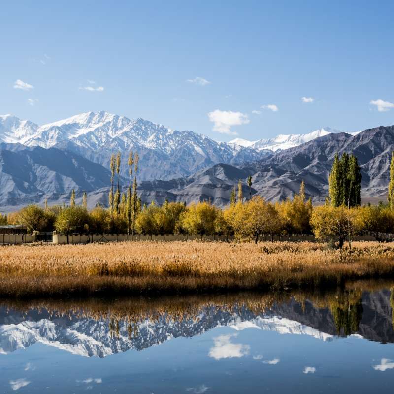 Lake Views - Ladakh