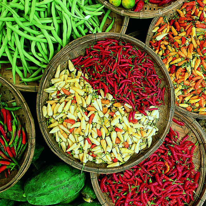 Explore Kerala and Karnataka