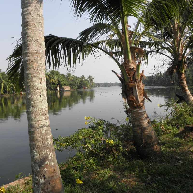Explore Kerala and Karnataka