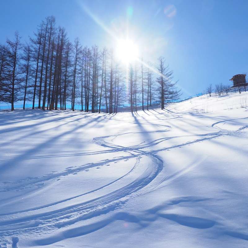 Ski - Hokkaido
