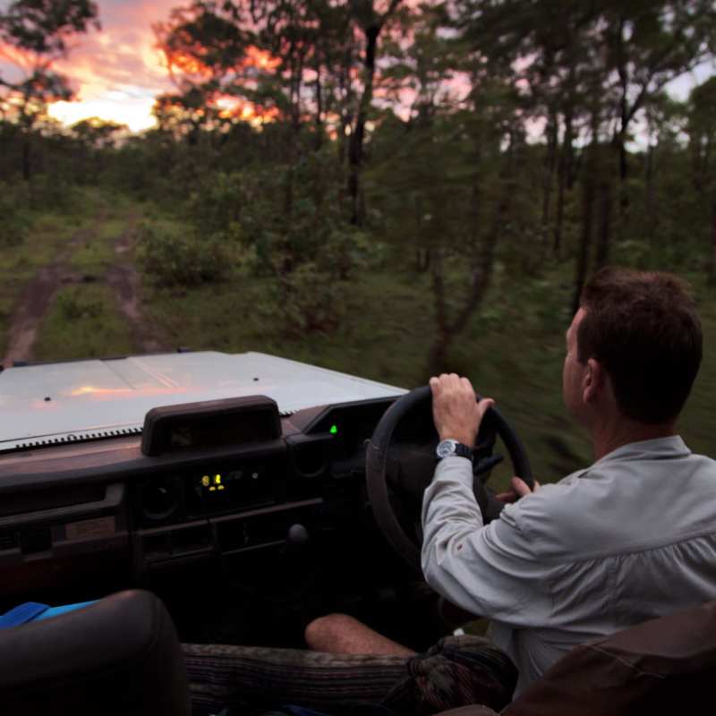 Guided tours - Bamurru Plains