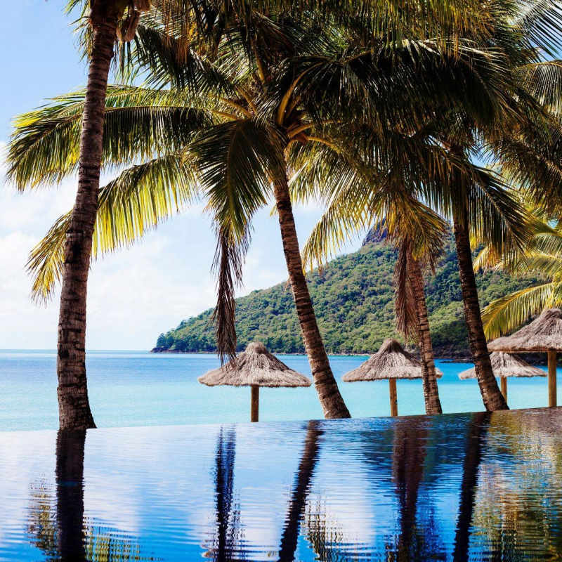 Beach Club Pool - Hamilton Island Beach Club 