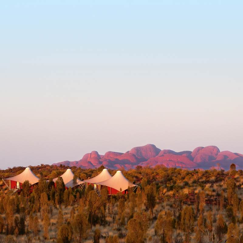Wild Views - Longitude 131