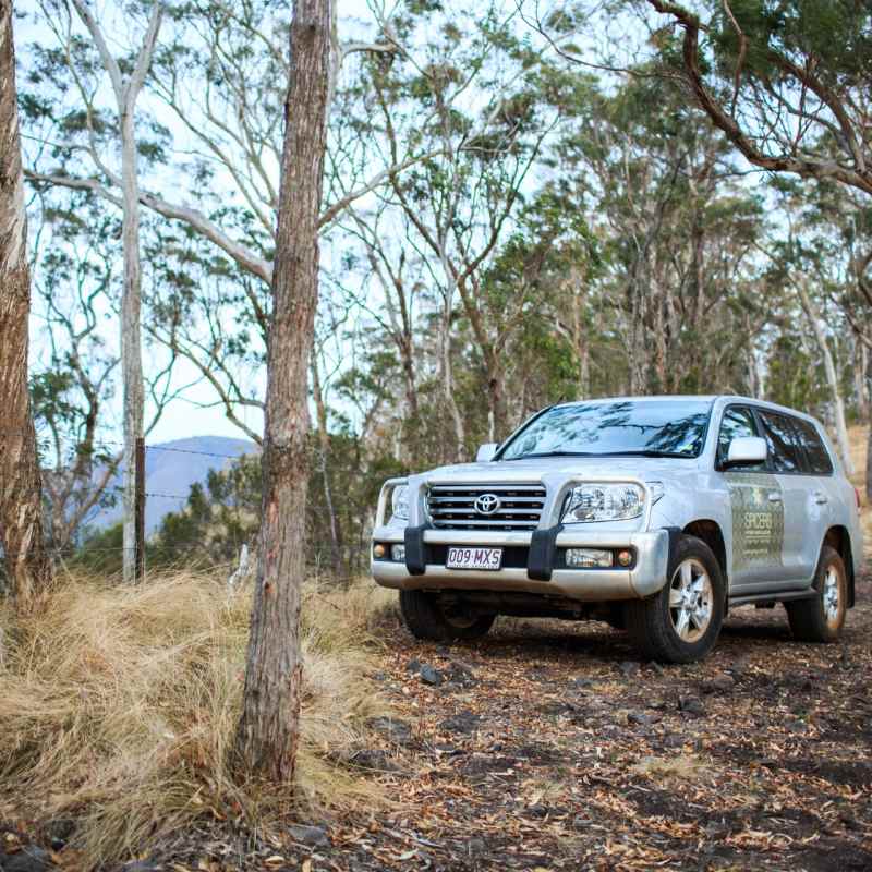 4WD - Spicers Peak Lodge 