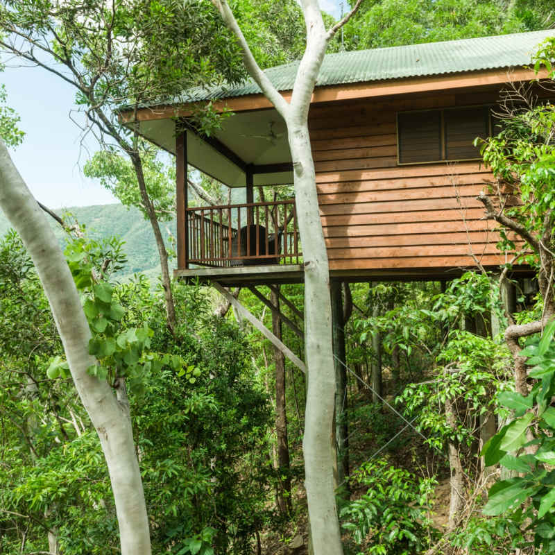 Eucalypt bungalow - Thala Beach Lodge