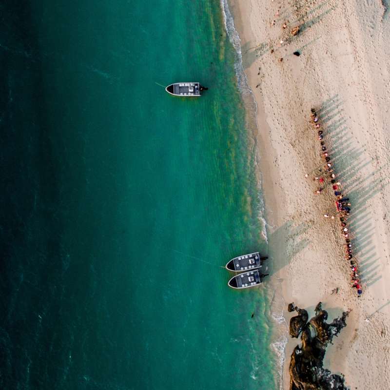 Wild Coastline 