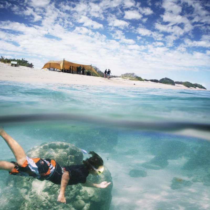 Snorkle at Sal Salis - 