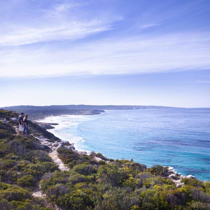 Clifftop Southern Ocean Lodge - Ultimate Australia and New Zealand