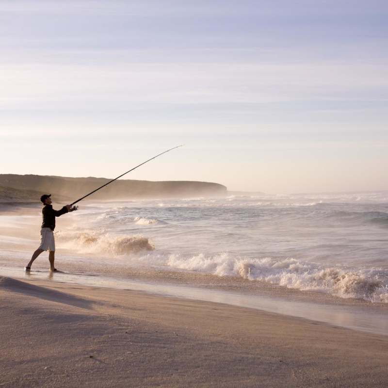 Beach Fishing  - 