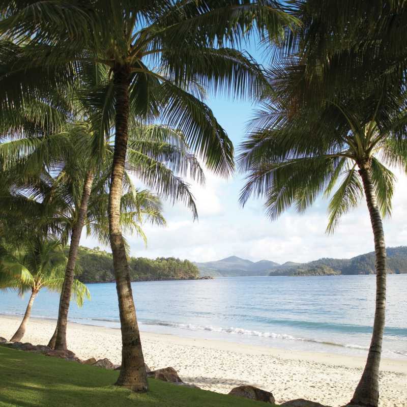Hamilton Island Beach  - 