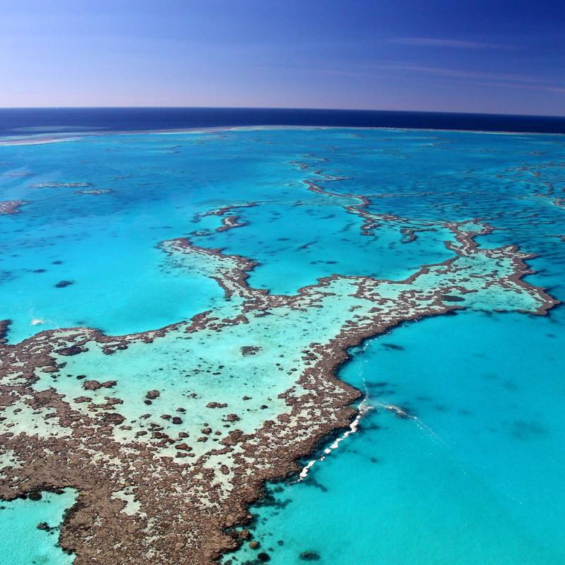Great Barrier Reef 