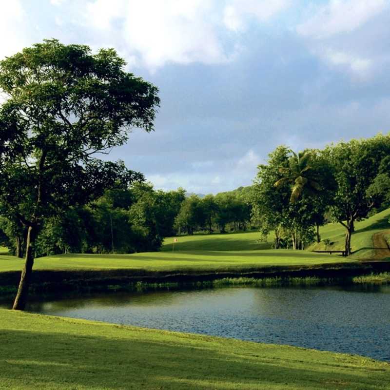 Golf Course 2 