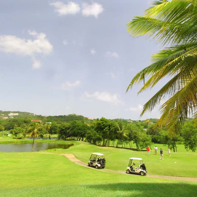 Golf Course 