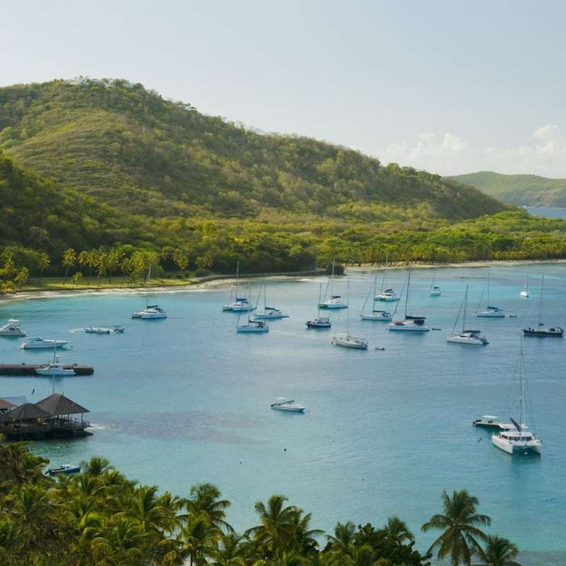 Mustique - Barbados and Mustique